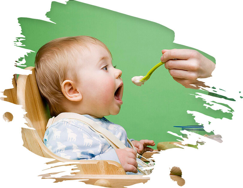 Guia alimentação bebês