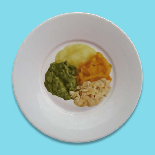 Exemplo de papinha: batata, chuchu e cenoura + carne