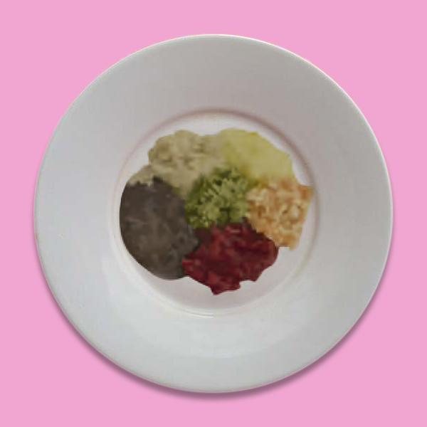 Exemplo de papinha: batata, chuchu, cenoura, carne, feijão + arroz